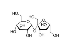 蔗糖
