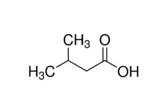 異戊酸